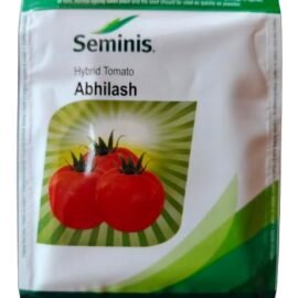 Seminins Abhilash Hybrid Tamato Seeds 10g (Pack of 1)