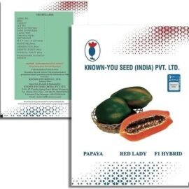 Taiwan Red Lady Papaya Hybrid Seed