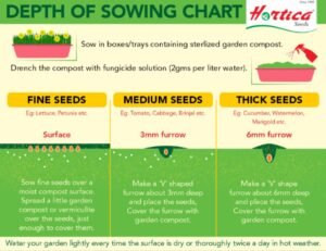 HORTICA Microgreen Seeds Kit | Pack of 10 Varieties - 10,000+ seeds | High Germination | Easy to grow