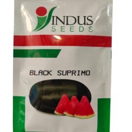 Indus Seeds F1 Hybrid Watermelon Black Supremo Seeds, 1000 seeds Packet