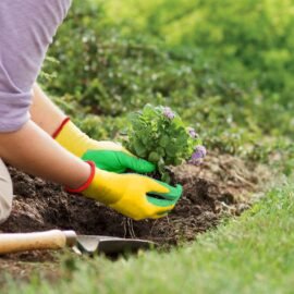 TrustBasket Gardening Gloves - Ergonomically Designed, Breathable Material, Crinkle Finish for Superior Grip, Polyester Cotton Seamless Liner, Heavy Duty Hand Gloves Farming & Agriculture