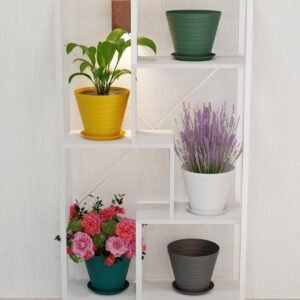 DICHOT Plastic 9 inch Plant Pots with Drainage Holes and Tray Saucers | Flower Pots for Home Balcony and Garden | Planters with Bottom Trays | Ideal for Indoor and Outdoor Use, Pack of 5 (Multi)