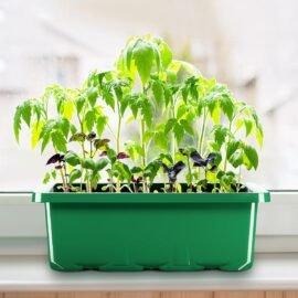 HASTHIP® Plastic Seedling Germination Tray - Tray Seed Starter Kit - Microgreen Growing Trays with 12 Cell Seedling Tray, Labels, Seedling Tools - Greenhouse Germination Kit for Seeds Growing (5Pcs)