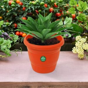 TrustBasket UV Treated Plastic Round Pot(6 Inches)-Set of 6 | Heavy Duty Highly Durable Plant Container Gamla for Indoor Home Decor & Outdoor Balcony Garden